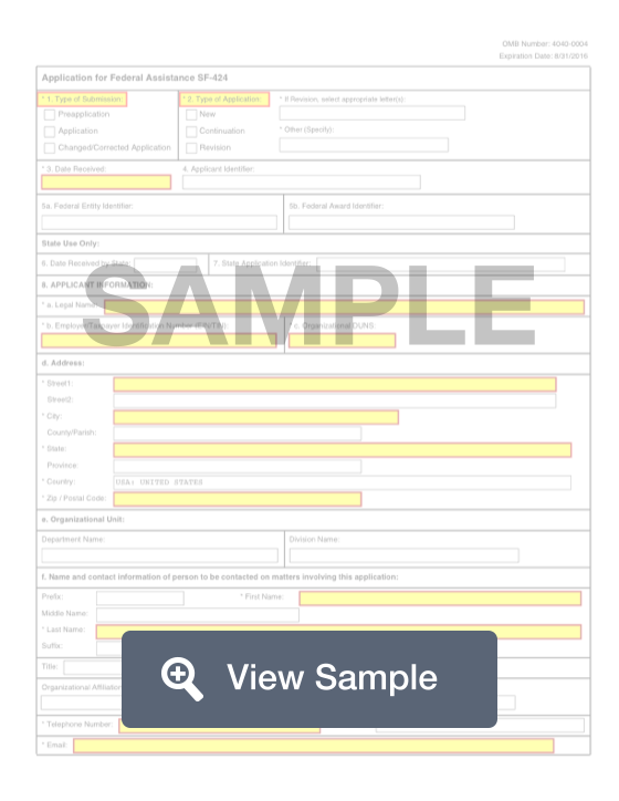 SF 424 Form